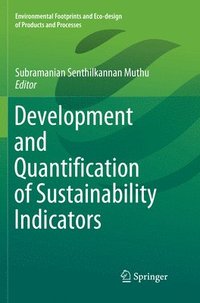 bokomslag Development and Quantification of Sustainability Indicators