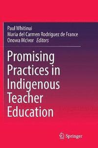 bokomslag Promising Practices in Indigenous Teacher Education