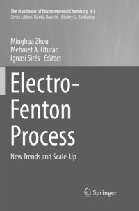 bokomslag Electro-Fenton Process