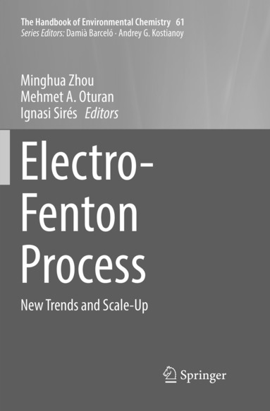 bokomslag Electro-Fenton Process