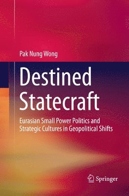 bokomslag Destined Statecraft