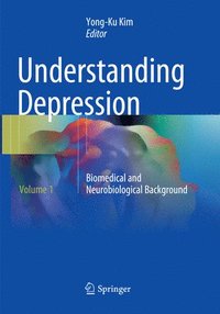 bokomslag Understanding Depression