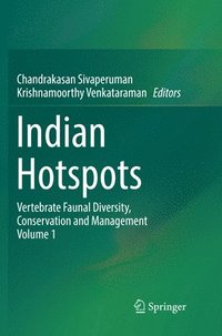 bokomslag Indian Hotspots