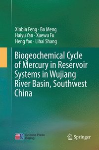 bokomslag Biogeochemical Cycle of Mercury in Reservoir Systems in Wujiang River Basin, Southwest China