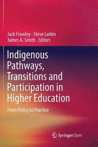 bokomslag Indigenous Pathways, Transitions and Participation in Higher Education