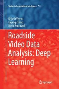 bokomslag Roadside Video Data Analysis