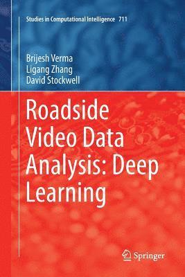 Roadside Video Data Analysis 1