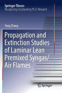 bokomslag Propagation and Extinction Studies of Laminar Lean Premixed Syngas/Air Flames