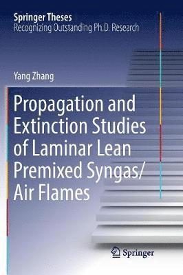 bokomslag Propagation and Extinction Studies of Laminar Lean Premixed Syngas/Air Flames