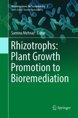 bokomslag Rhizotrophs: Plant Growth Promotion to Bioremediation