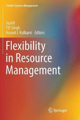 bokomslag Flexibility in Resource Management