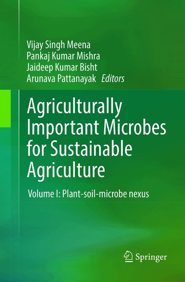 Vijay Singh Meena, Pankaj Kumar Mishra, Jaideep Kumar Bisht, Arunava Pattanayak - Agriculturally Important Microbes for Sustainable Agriculture, Häftad