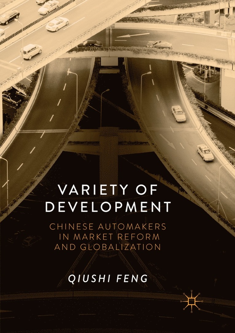 Qiushi Feng - Variety of Development, Häftad