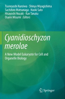 Cyanidioschyzon merolae 1
