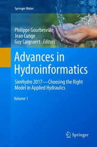 bokomslag Advances in Hydroinformatics