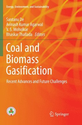 bokomslag Coal and Biomass Gasification