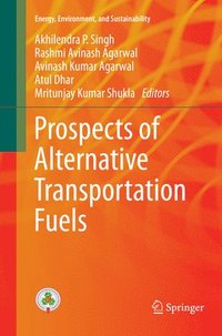 bokomslag Prospects of Alternative Transportation Fuels