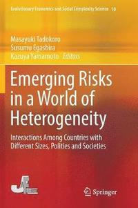 bokomslag Emerging Risks in a World of Heterogeneity