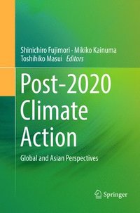 bokomslag Post-2020 Climate Action
