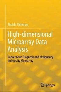 bokomslag High-dimensional Microarray Data Analysis