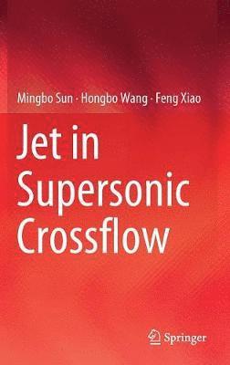 bokomslag Jet in Supersonic Crossflow
