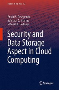 bokomslag Security and Data Storage Aspect in Cloud Computing