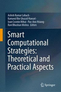 bokomslag Smart Computational Strategies: Theoretical and Practical Aspects