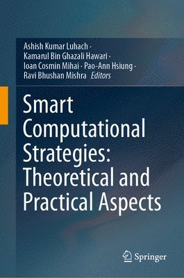 bokomslag Smart Computational Strategies: Theoretical and Practical Aspects