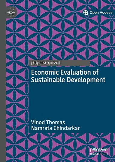 bokomslag Economic Evaluation of Sustainable Development