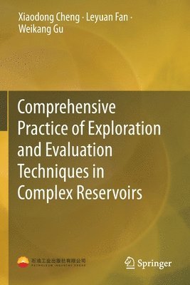 bokomslag Comprehensive Practice of Exploration and Evaluation Techniques in Complex Reservoirs