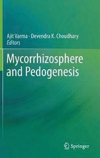 bokomslag Mycorrhizosphere and Pedogenesis