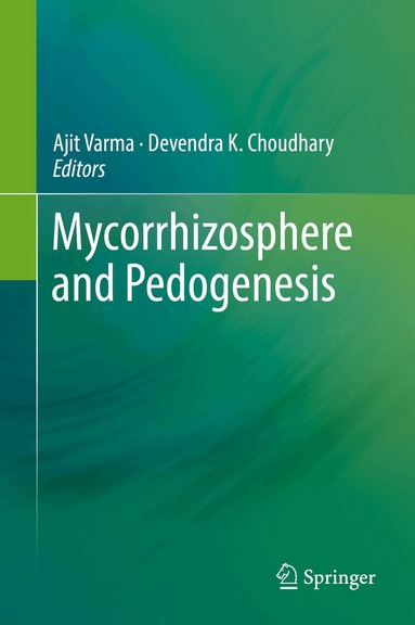 Ajit Varma, Devendra K. Choudhary - Mycorrhizosphere and Pedogenesis, Inbunden