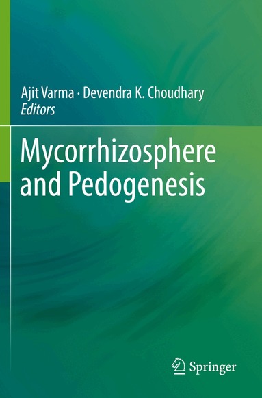 Ajit Varma, Devendra K. Choudhary - Mycorrhizosphere and Pedogenesis, Häftad