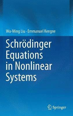 Schrdinger Equations in Nonlinear Systems 1