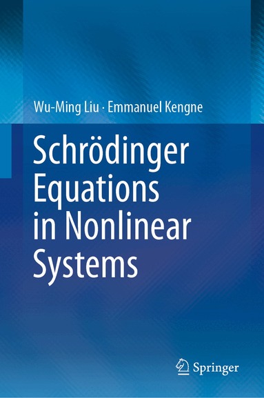 Wu-Ming Liu, Emmanuel Kengne - Schrödinger Equations in Nonlinear Systems, Häftad