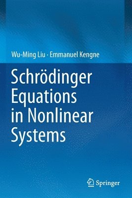 bokomslag Schrdinger Equations in Nonlinear Systems