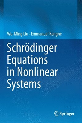 Schrdinger Equations in Nonlinear Systems 1
