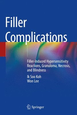 bokomslag Filler Complications