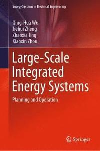 bokomslag Large-Scale Integrated Energy Systems