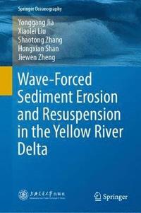 bokomslag Wave-Forced Sediment Erosion and Resuspension in the Yellow River Delta