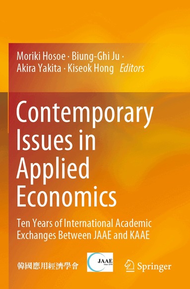 Moriki Hosoe, Biung-Ghi Ju, Akira Yakita, Kiseok Hong - Contemporary Issues in Applied Economics, Häftad