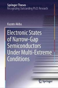 bokomslag Electronic States of Narrow-Gap Semiconductors Under Multi-Extreme Conditions