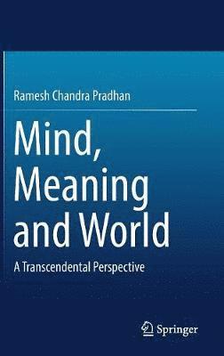 Mind, Meaning and World 1