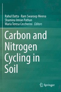 bokomslag Carbon and Nitrogen Cycling in Soil