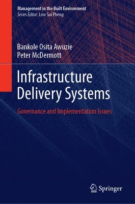 bokomslag Infrastructure Delivery Systems