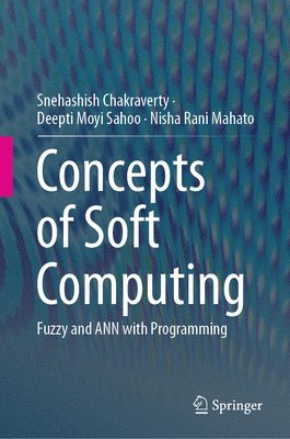 Concepts of Soft Computing 1