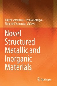 bokomslag Novel Structured Metallic and Inorganic Materials