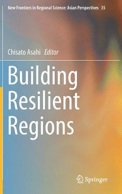 bokomslag Building Resilient Regions