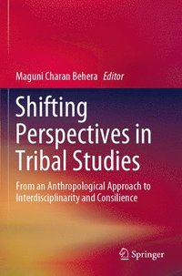 bokomslag Shifting Perspectives in Tribal Studies