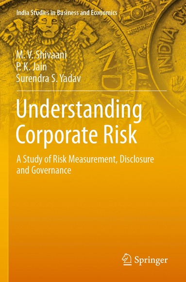 bokomslag Understanding Corporate Risk